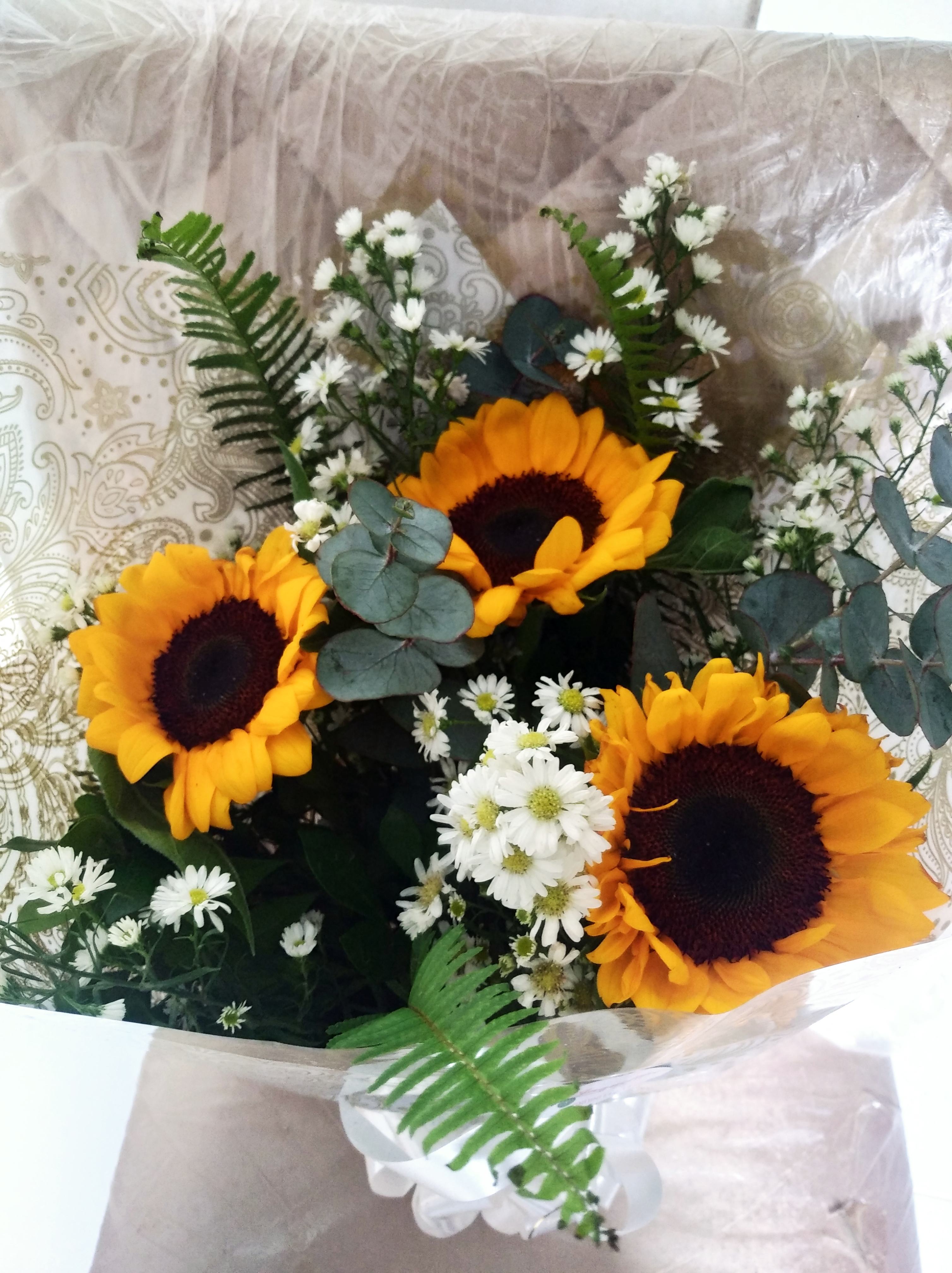 Raio de sol
