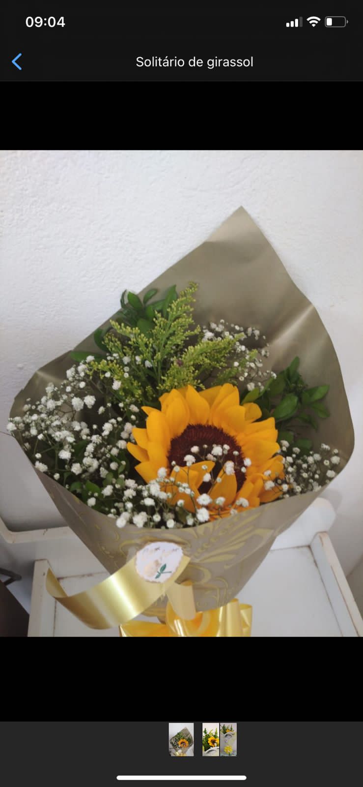 Sol em Flor